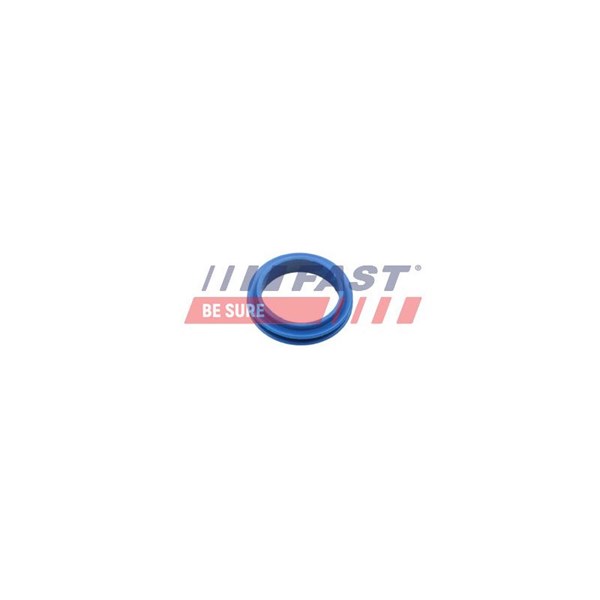 Packning, oljesticka Fast FT48955 FAST
