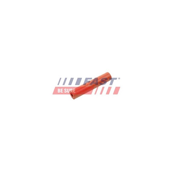 Laddluftslang Fast FT63806 FAST