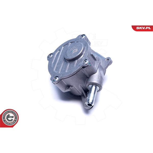 Vakuumpump, bromssystem Esen skv 18SKV052 ESEN SKV