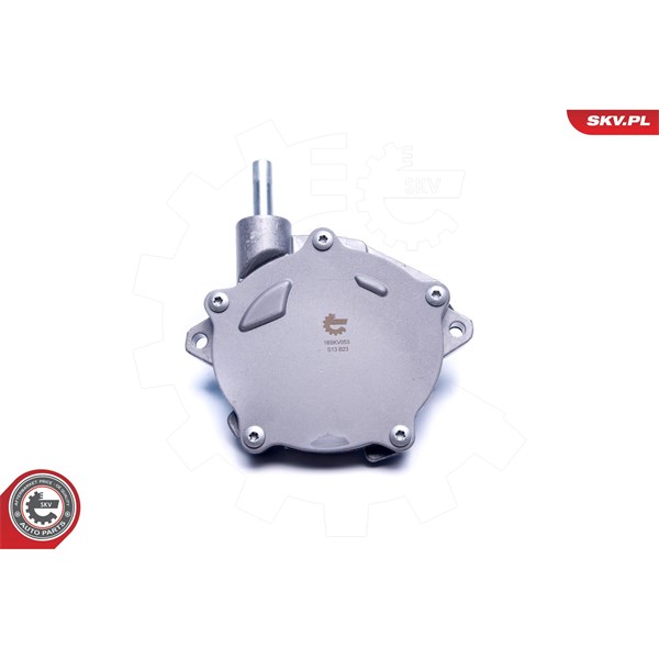 Vakuumpump, bromssystem Esen skv 18SKV053 ESEN SKV
