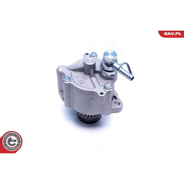 Vakuumpump, bromssystem Esen skv 18SKV054 ESEN SKV