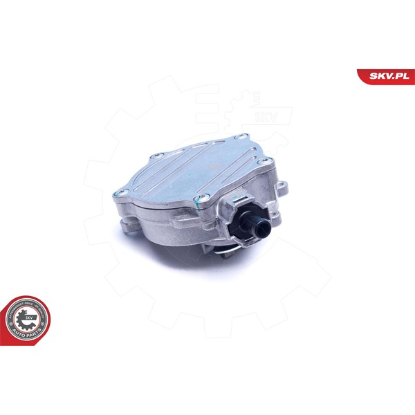 Vakuumpump, bromssystem Esen skv 18SKV056 ESEN SKV