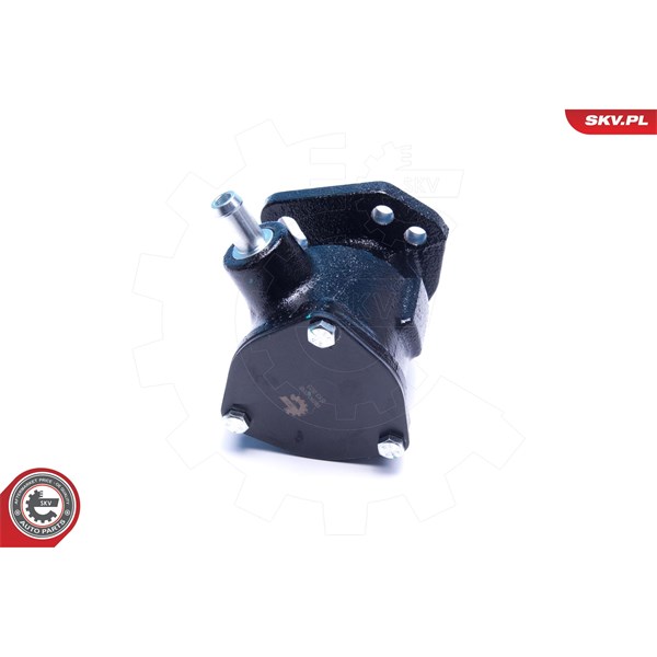 Vakuumpump, bromssystem Esen skv 18SKV058 ESEN SKV