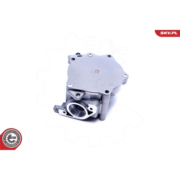 Vakuumpump, bromssystem Esen skv 18SKV060 ESEN SKV