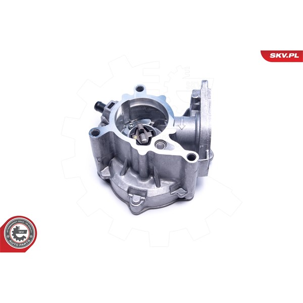 Vakuumpump, bromssystem Esen skv 18SKV060 ESEN SKV
