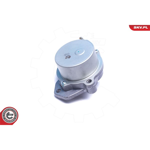 Vakuumpump, bromssystem Esen skv 18SKV061 ESEN SKV
