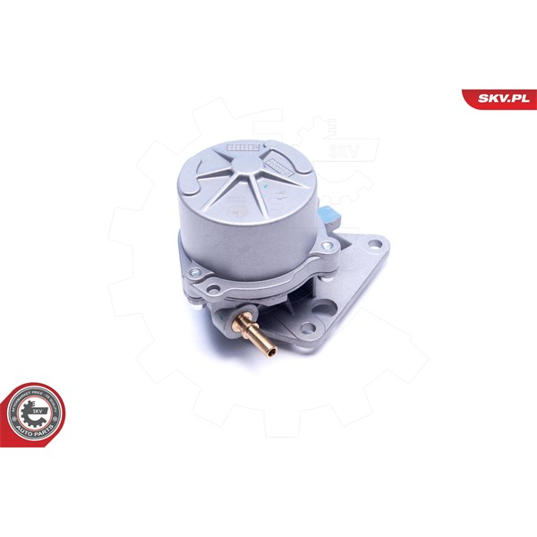 Vakuumpump, bromssystem Esen skv 18SKV062 ESEN SKV