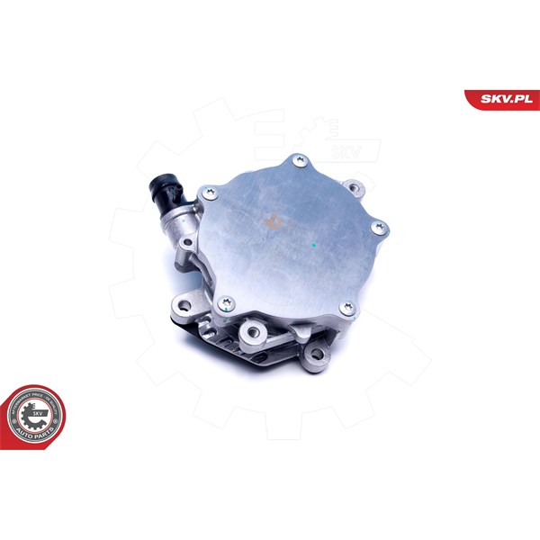 Vakuumpump, bromssystem Esen skv 18SKV063 ESEN SKV