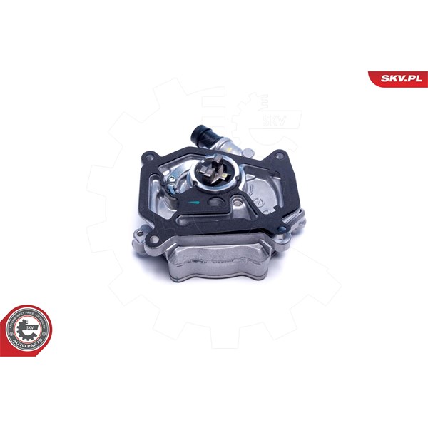 Vakuumpump, bromssystem Esen skv 18SKV063 ESEN SKV