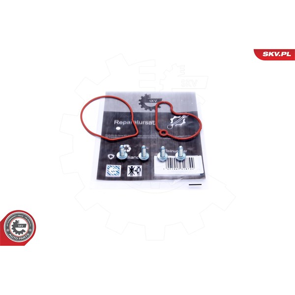 Rep.sats, vakumpump (bromsar) Esen skv 18SKV807 ESEN SKV