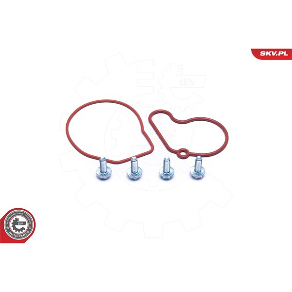Rep.sats, vakumpump (bromsar) Esen skv 18SKV807 ESEN SKV