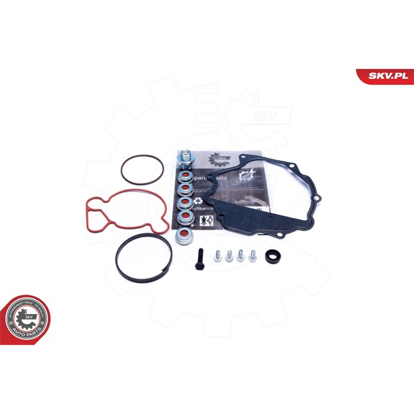 Rep.sats, vakumpump (bromsar) Esen skv 18SKV809 ESEN SKV