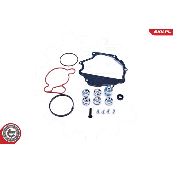 Rep.sats, vakumpump (bromsar) Esen skv 18SKV809 ESEN SKV