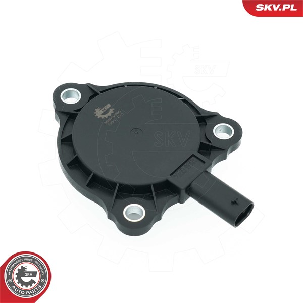 Centralmagnet, kamaxeldtällning, Insugssidan, Avgas-/utsläppssida ESEN SKV Centralmagnet, kamaxeldtällning, Insugssidan, Avgas-/utsläppssida ESEN SKV