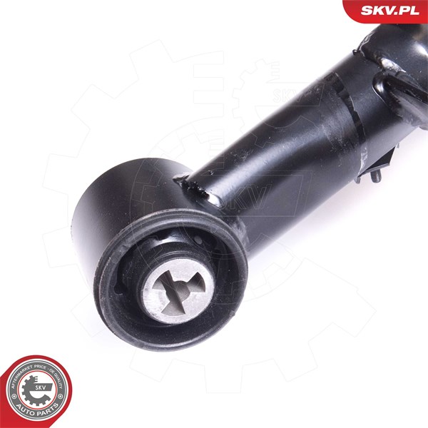 Axelkropp, Bakaxel Esen skv 64SKV004 ESEN SKV