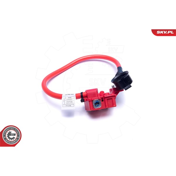 Batteriadapter Esen skv 96SKV311 ESEN SKV Batteriadapter Esen skv 96SKV311 ESEN SKV