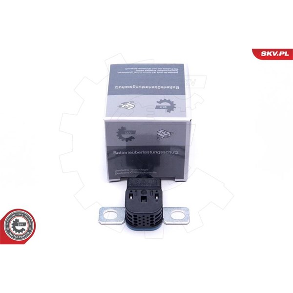 Överspänningsskyd, generator Esen skv 96SKV317 ESEN SKV Överspänningsskyd, generator Esen skv 96SKV317 ESEN SKV