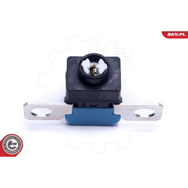 Överspänningsskyd, generator Esen skv 96SKV317 ESEN SKV