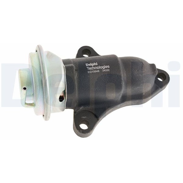 Egr-ventil Delphi EG10648-12B1 DELPHI