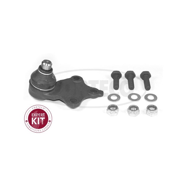 Kulled / Spindelled, framaxel höger, framaxel vänster Corteco 493 CORTECO Kulled / Spindelled, framaxel höger, framaxel vänster Corteco 493 CORTECO