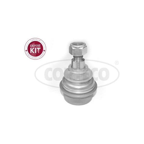 Kulled / Spindelled, Nedre framaxel, framaxel höger, framaxel vän CORTECO Kulled / Spindelled, Nedre framaxel, framaxel höger, framaxel vän CORTECO
