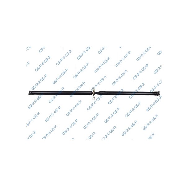 Kardan, Bak Gsp PS900493 GSP
