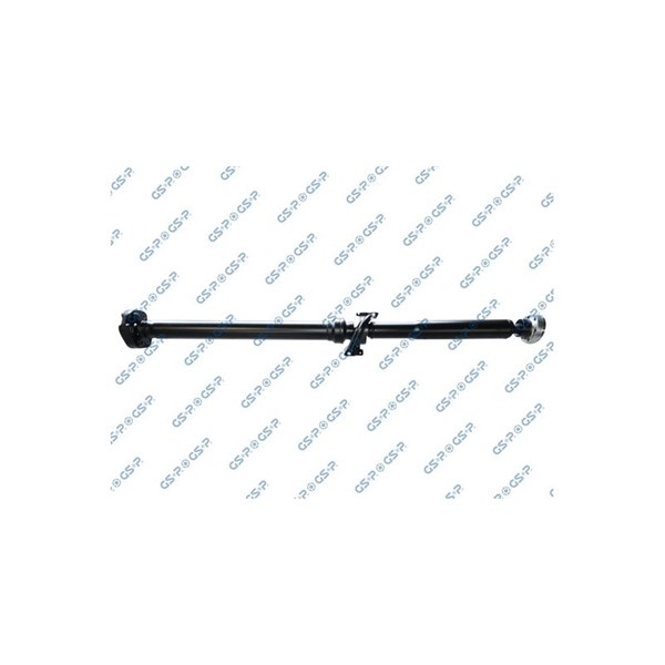Kardan, Bak Gsp PS900560 GSP