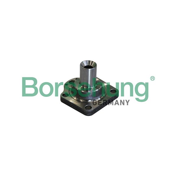 Hjulnav, Bakaxel Borsehung B11291 Borsehung