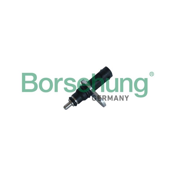 Kylvätsketemperatur-sensor Borsehung B11863 Borsehung