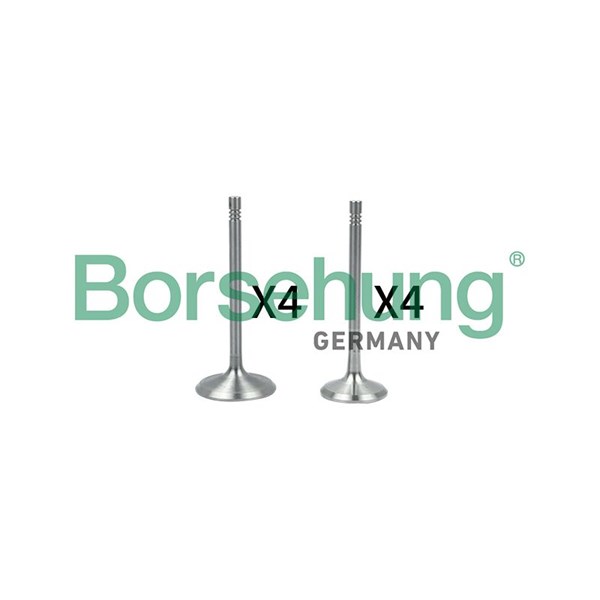 Ventilsats, inlopps-/utloppsventil Borsehung B18146 Borsehung