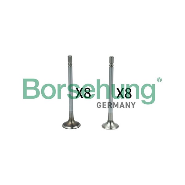 Ventilsats, inlopps-/utloppsventil Borsehung B18628 Borsehung