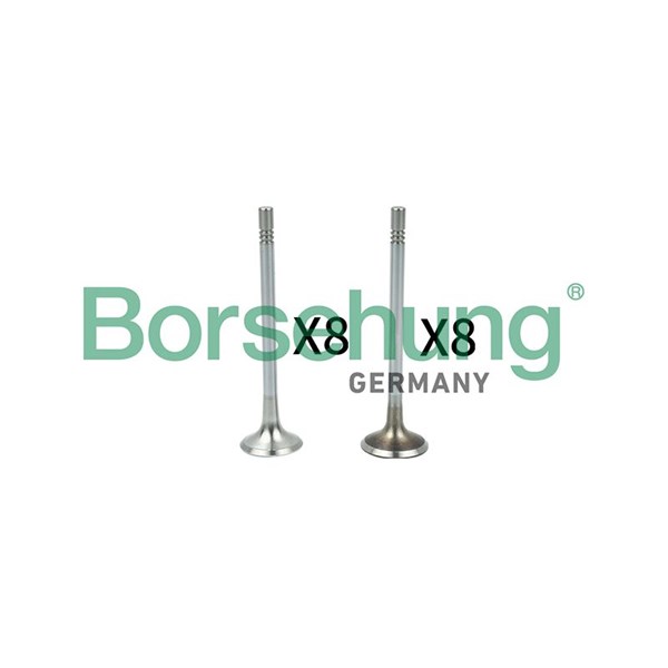 Ventilsats, inlopps-/utloppsventil Borsehung B18629 Borsehung