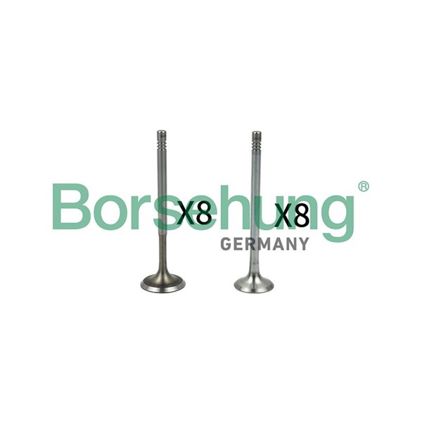 Ventilsats, inlopps-/utloppsventil Borsehung B18630 Borsehung