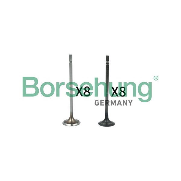 Ventilsats, inlopps-/utloppsventil Borsehung B18631 Borsehung