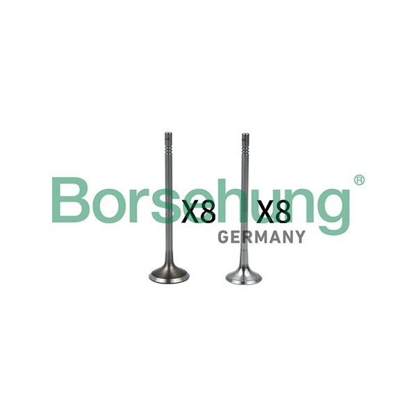 Ventilsats, inlopps-/utloppsventil Borsehung B18633 Borsehung Ventilsats, inlopps-/utloppsventil Borsehung B18633 Borsehung