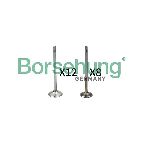Ventilsats, inlopps-/utloppsventil Borsehung B18635 Borsehung