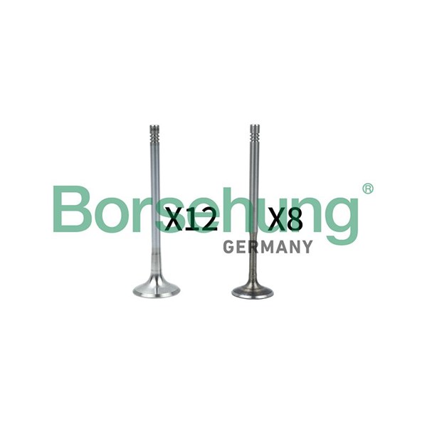 Ventilsats, inlopps-/utloppsventil Borsehung B18636 Borsehung