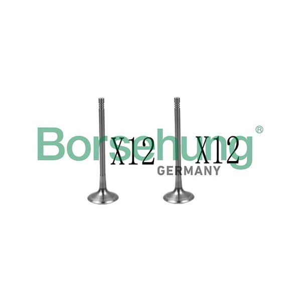 Ventilsats, inlopps-/utloppsventil Borsehung B18639 Borsehung