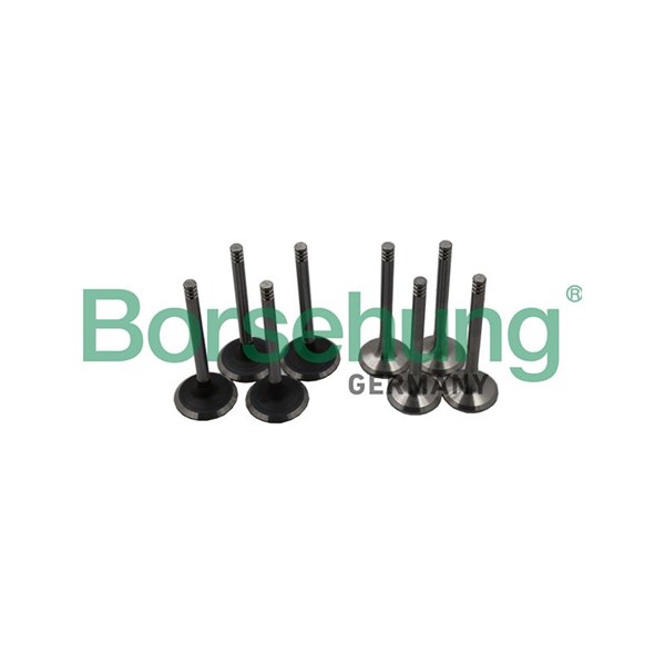 Ventilsats, inlopps-/utloppsventil Borsehung B18640 Borsehung
