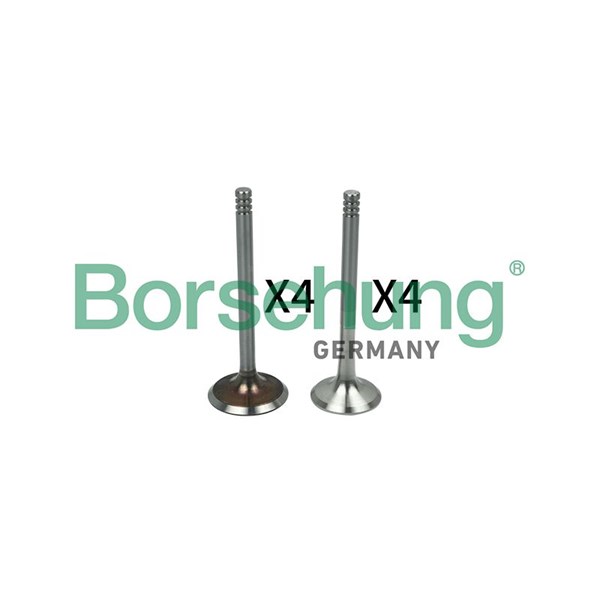 Ventilsats, inlopps-/utloppsventil Borsehung B18641 Borsehung