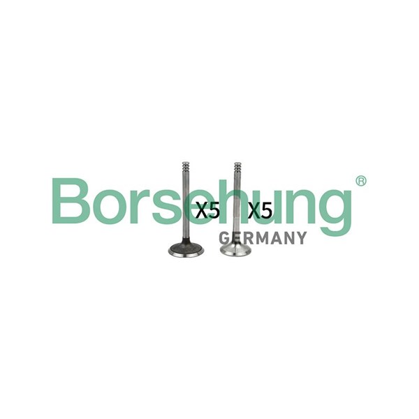 Ventilsats, inlopps-/utloppsventil Borsehung B18662 Borsehung