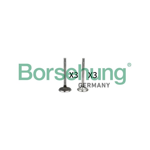 Ventilsats, inlopps-/utloppsventil Borsehung B18765 Borsehung