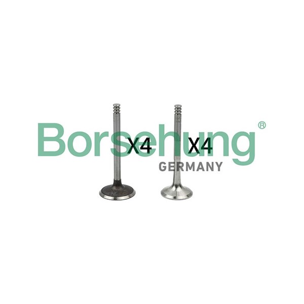Ventilsats, inlopps-/utloppsventil Borsehung B18766 Borsehung