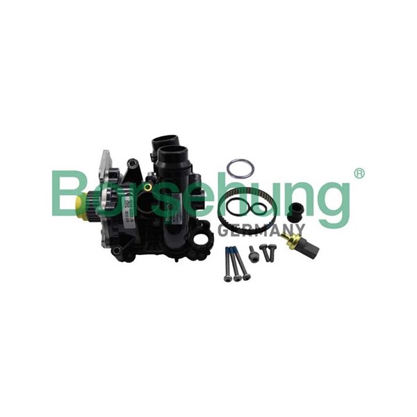 Rep.sats, vattenpump Borsehung B19130 Borsehung