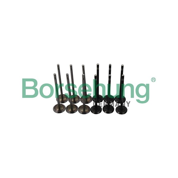 Ventilsats, inlopps-/utloppsventil Borsehung B19160 Borsehung