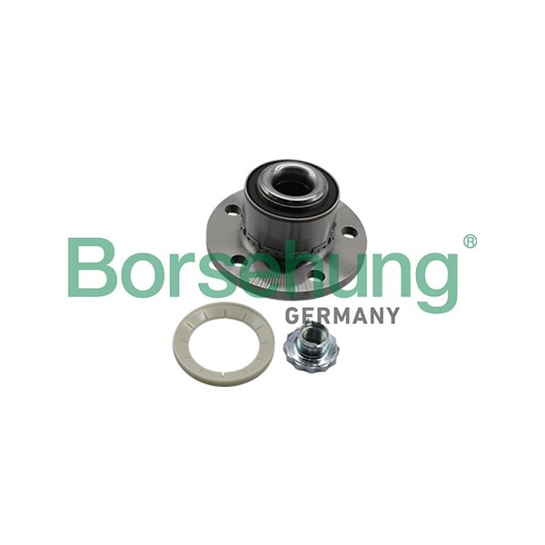 Hjullagersats, Fram Borsehung B19309 Borsehung