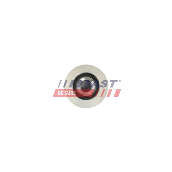 Remskiva, generator Fast FT45645 FAST
