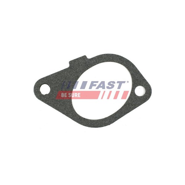 Packning, insugsgrenrör Fast FT49433 FAST