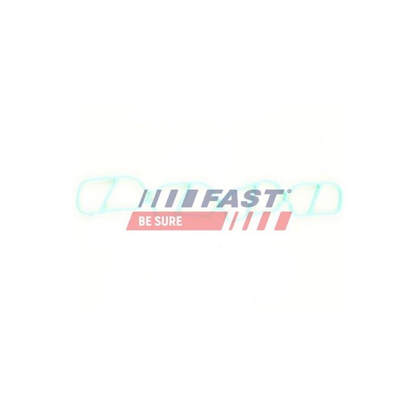 Packning, insugsgrenrör, Utgång Fast FT49436 FAST