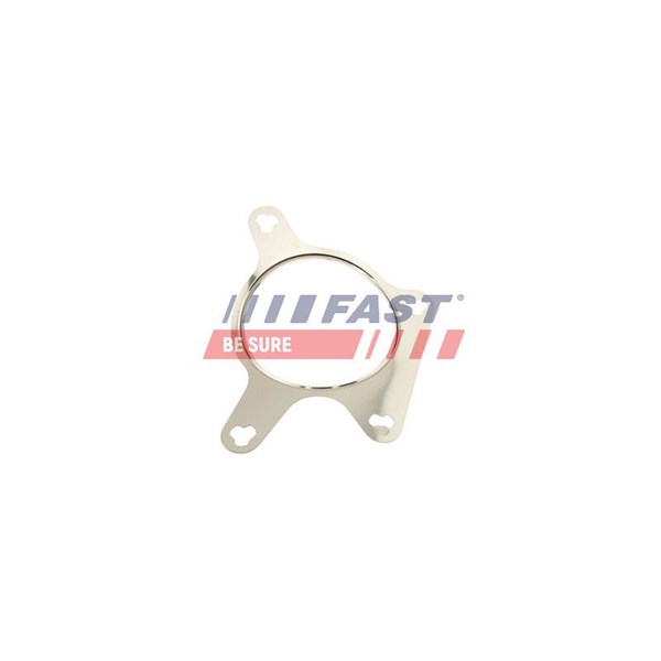 Packning EGR-ventil Fast FT50613 FAST Packning EGR-ventil Fast FT50613 FAST